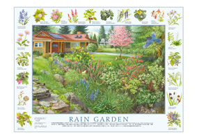 認定雨の庭ポスター表面